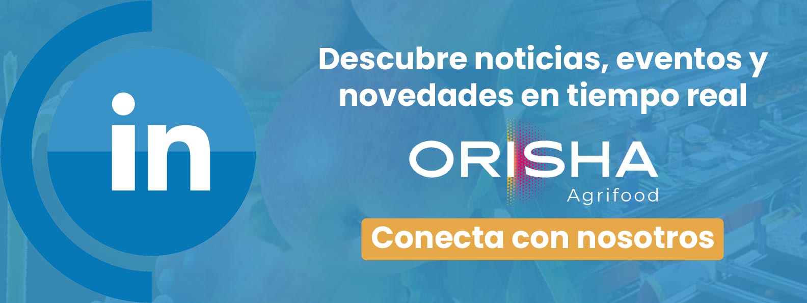 Banner---Síguenos-en-RRSS-en-email-Linkedin