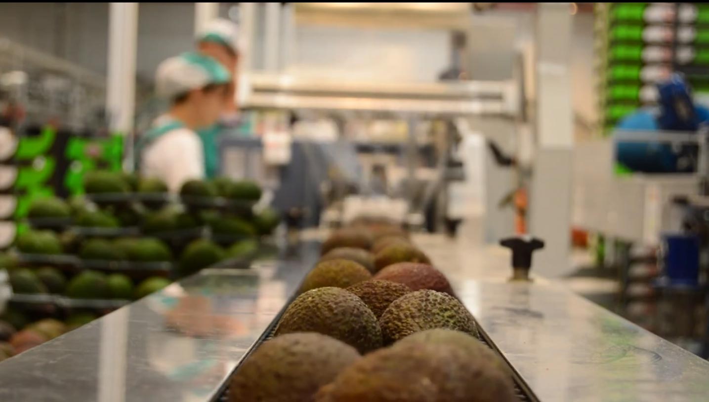 Descubre el alcance del ERP agroalimentario NORA