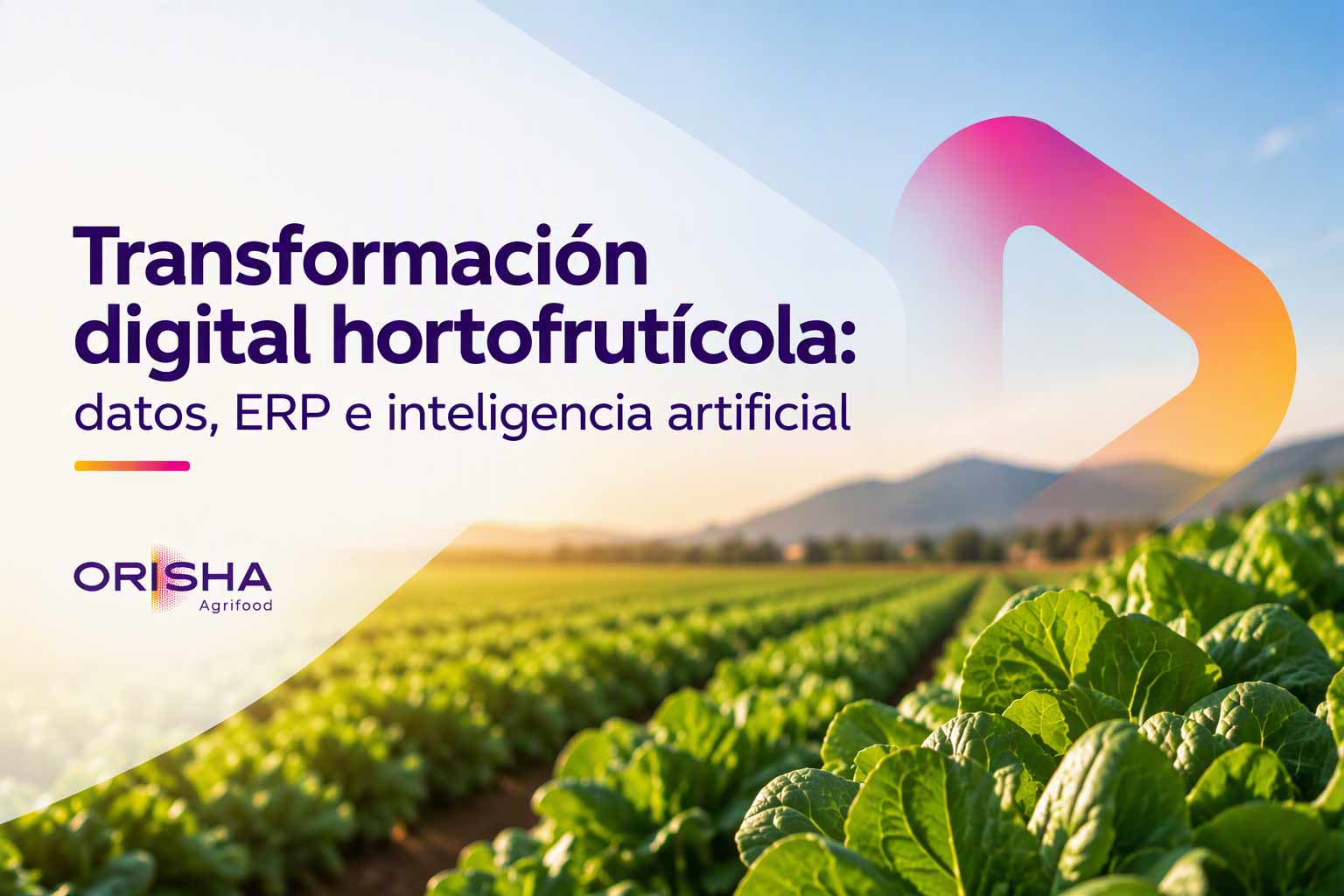 Transformación digital hortofrutícola con ERP e inteligencia artificial